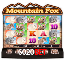 6020bet: A Experiência de Casino com Jogos de Mesa ao Vivo